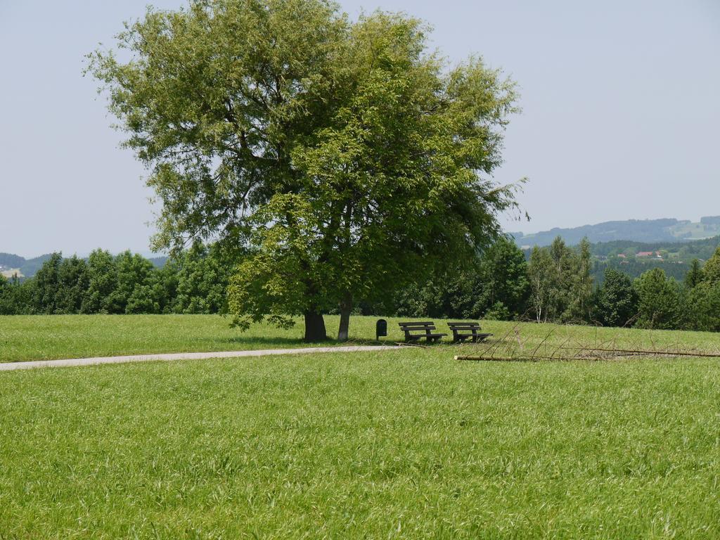 Hotel Seiserhof & Seiseralm Bernau am Chiemsee Εξωτερικό φωτογραφία